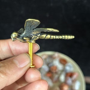 Puede incluir: Una detallada escultura de libélula de latón con alas y cuerpo texturizados. La libélula está montada sobre un tornillo dorado. La escultura se sostiene en una mano, con un fondo borroso.