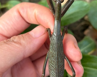 Get 1 piece Exquisite Solid Copper Praying Mantis Statues for Garden Decor,  Figurine Praying Mantis Wealth Insect, Paperweight Toy Gifts