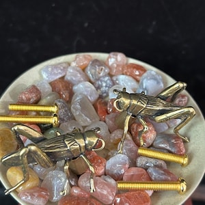 Pode incluir: Duas figuras de gafanhotos em bronze repousam sobre um leito de pedras polidas coloridas dentro de uma tigela creme. Os gafanhotos têm pernas e antenas detalhadas. Três parafusos dourados também estão presentes.