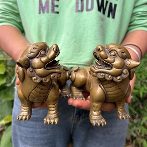 May include: Two bronze-colored Foo Dog statues. The statues are in a crouching position with detailed features, including open mouths and intricate fur detailing. The statues are held in front of a green shirt and blue jeans.