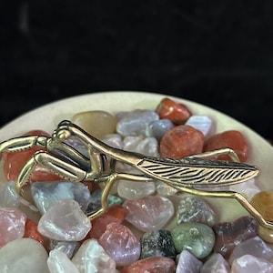 May include: A brass praying mantis figurine rests on a bed of colorful polished stones. The insect sculpture features detailed wings and legs, with a golden finish. The stones are in shades of red, orange, gray, and white, creating a natural, earthy aesthetic.
