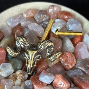 May include: A brass ram head figurine with detailed horns and face, and two gold-coloured screws. The ram is set among a bed of colourful, polished gemstones in shades of red, pink, and clear.