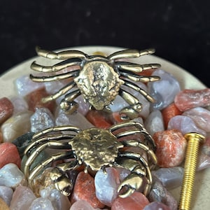 Peut inclure: Deux figurines de crabe en laiton avec des pinces et des pattes détaillées reposent sur un lit de pierres polies colorées. Un boulon doré est également présent. Les crabes sont positionnés sur une surface claire, avec un fond sombre.