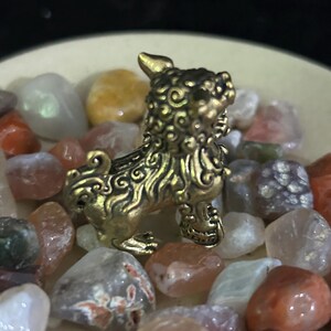May include: A small, gold-colored figurine of a mythical creature with intricate details. The figurine is surrounded by a variety of polished stones in shades of orange, white, and gray. The creature has a lion-like body and a decorative mane.