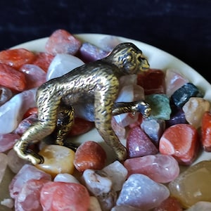 May include: A small, bronze-colored monkey figurine with detailed texture, posed on all fours. The figurine is surrounded by a variety of colorful polished stones, including red, pink, white, and green, arranged in a shallow, off-white dish.