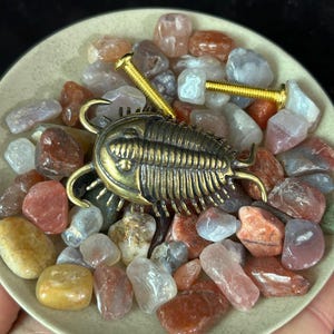 May include: A bronze trilobite ornament sits amongst a collection of polished stones in a light green ceramic dish. Two gold screws are also visible. The stones are various shades of red, orange, grey, and yellow. The dish is held in a hand.