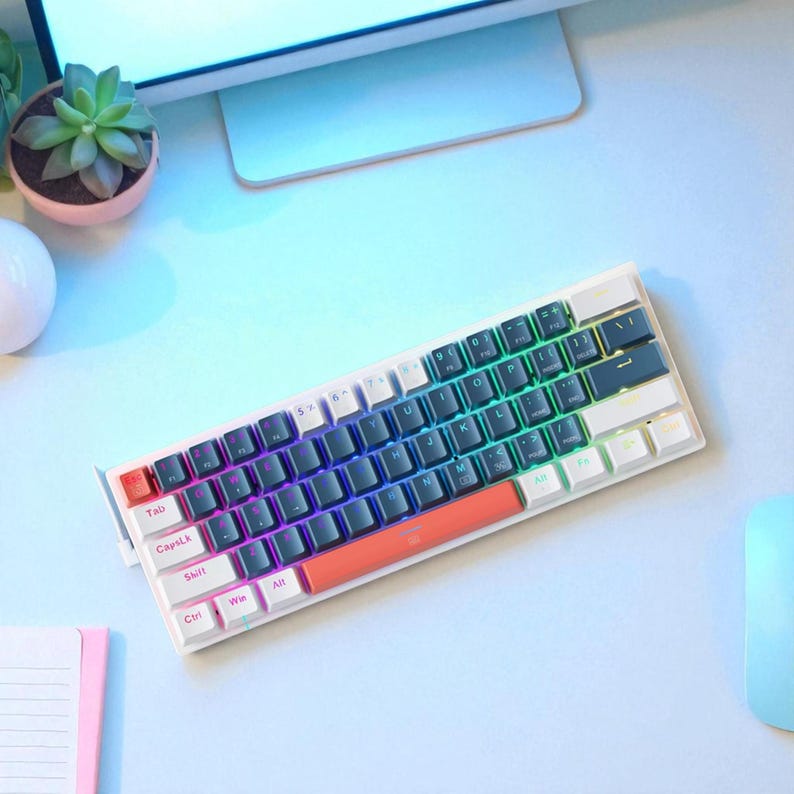 May include: A white mechanical keyboard with a rainbow backlight. The keyboard has black and white keys, with an orange space bar. The keyboard is on a light blue surface, with a light blue mouse and a small succulent plant in a pink pot.