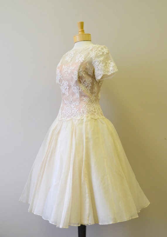 1950s Mr. Frank Cream Lace and Organdy Dress - image 5
