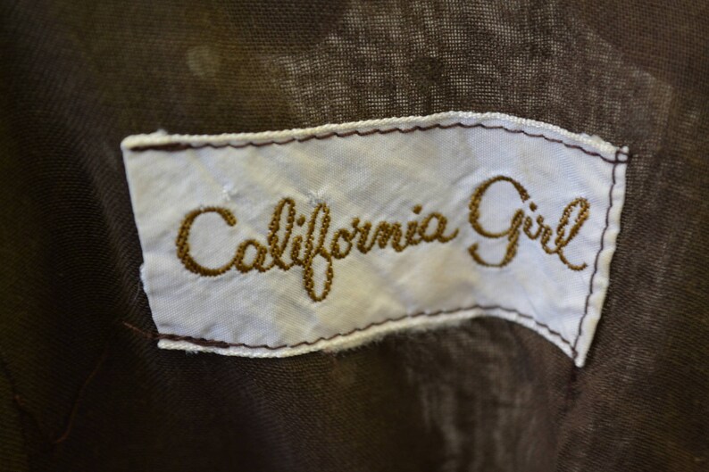 1960s California Girl Brown Polka Dot Drop Waist Dress image 5