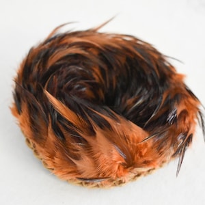 1950s Feathered Headband Fascinator image 6