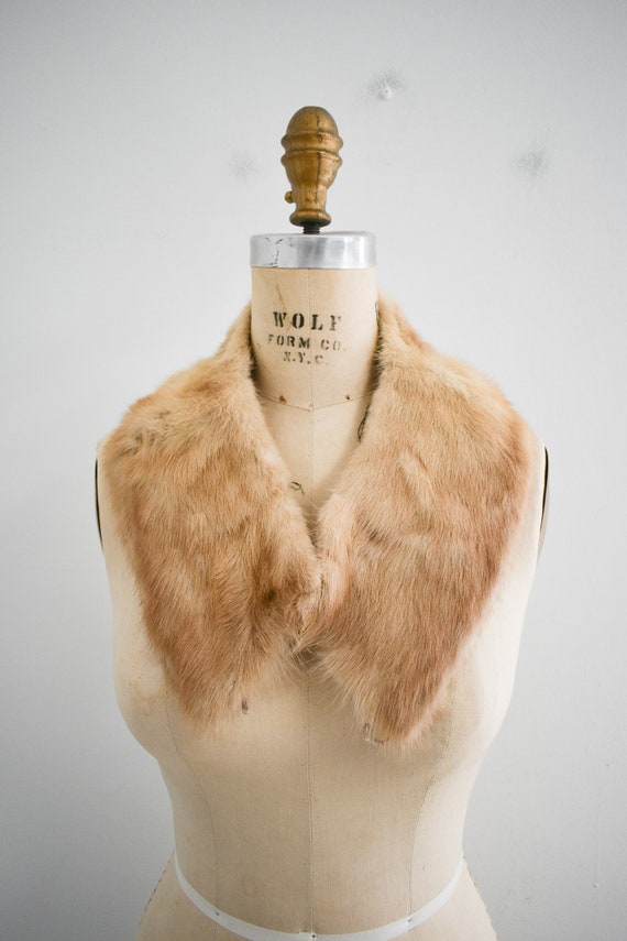 1950s Light Brown Fur Collar - image 2
