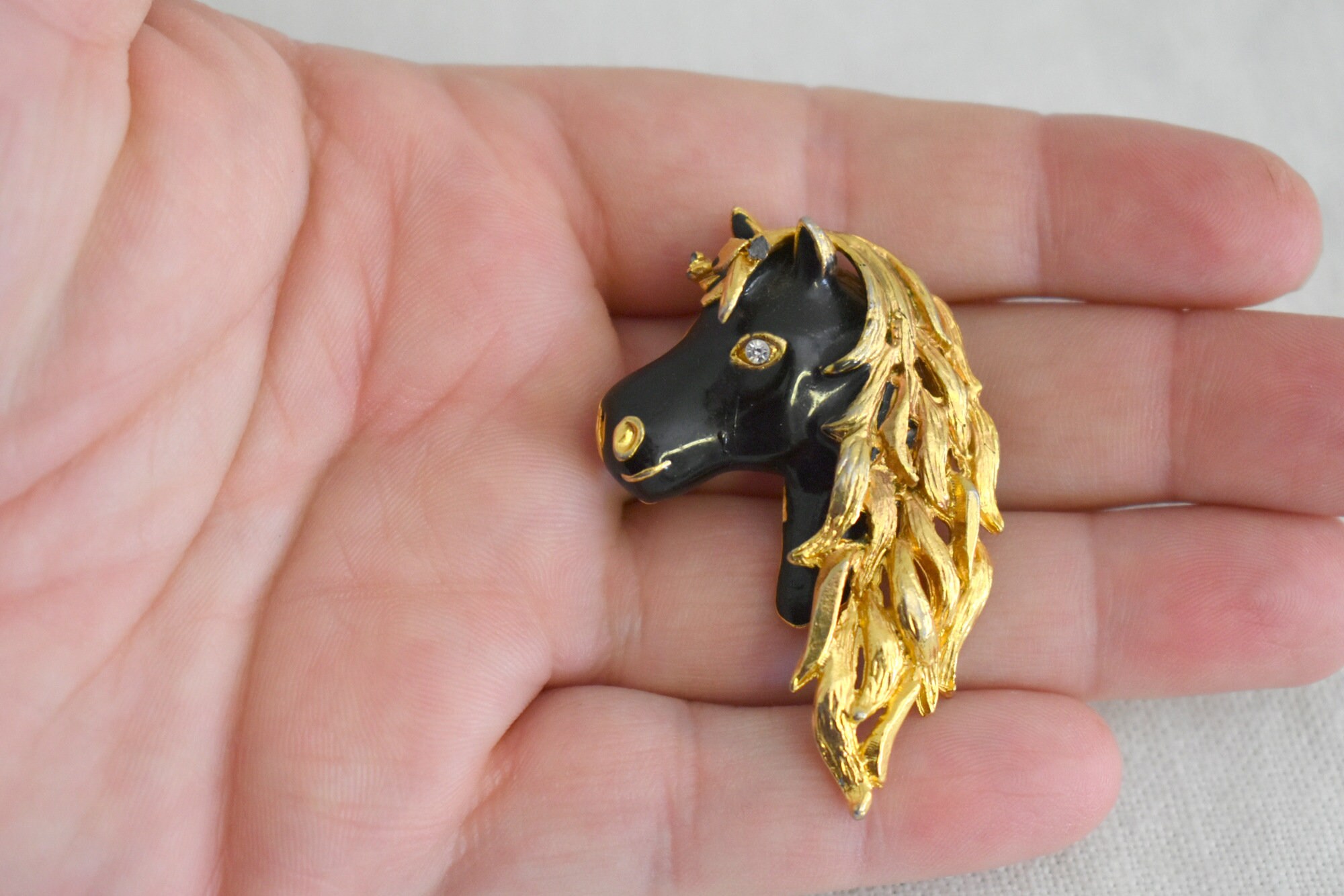 File:Tête de cheval, en face, PK-P-126.191.jpg - Wikimedia