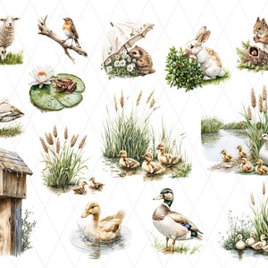 May include: A collection of watercolour illustrations featuring wildlife and natural scenes. Depicted are a sheep, a bird on a branch, a hedgehog, a rabbit, a squirrel, a swan, a frog, ducks, and a birdhouse.
