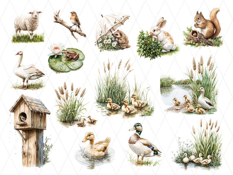May include: A collection of watercolour illustrations featuring wildlife and natural scenes. Depicted are a sheep, a bird on a branch, a hedgehog, a rabbit, a squirrel, a swan, a frog, ducks, and a birdhouse.