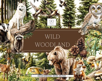 Wild Woodland Digital Watercolour Clipart | Transparent PNG clipart bundle | Woodland clipart | Commercial Use | Digital Download