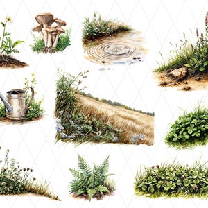 May include: A collection of watercolour illustrations depicting natural scenes. The image includes depictions of plants such as mushrooms, daisies, and ferns. Other scenes include a watering can, a wheat field, and a pond with ripples.