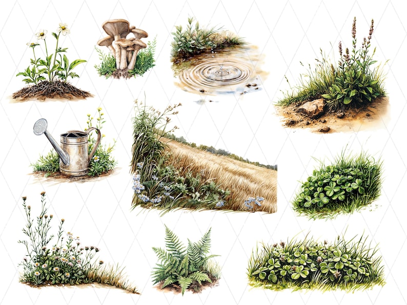 May include: A collection of watercolour illustrations depicting natural scenes. The image includes depictions of plants such as mushrooms, daisies, and ferns. Other scenes include a watering can, a wheat field, and a pond with ripples.
