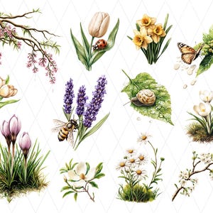 May include: A collection of watercolour illustrations featuring spring flowers and insects. The images include tulips, daffodils, lavender, a bee, a snail, and a butterfly, set against a white diamond-patterned background.