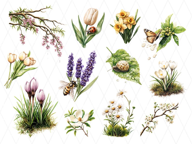 May include: A collection of watercolour illustrations featuring spring flowers and insects. The images include tulips, daffodils, lavender, a bee, a snail, and a butterfly, set against a white diamond-patterned background.