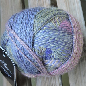 SOCK Weight - Schoppel Wolle Crazy Zauberball 4 Ply - 100g - 460 Yards - Geheimrat - Privy Council - #2514 - Purple Green Rose