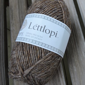 ARAN Weight Yarn - Pura lana classica islandese - Murky (#1420) - Lopi Lettlopi - 50g - 109 iarde