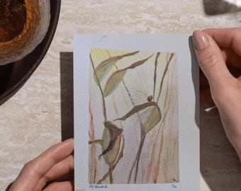 Autumnal Milkweed Original Watercolor Painting, Save the Monarchs Native Floral Fall Hand Signed Original New England Gallery Wall