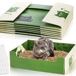 May include: A green and white cat litter box with a gray tabby cat inside. The box is filled with wood pellets. A stack of matching green and white litter box covers and a white scoop are also shown.