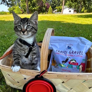 Op de afbeelding: Een tabby kitten met een zwart harnas zit in een gevlochten mand met een zak "Travel Gravel" kattenbakvulling. Een rood-zwarte opvouwbare kom ligt voor de mand. De sc&egrave;ne speelt zich buiten af op een grasveld.