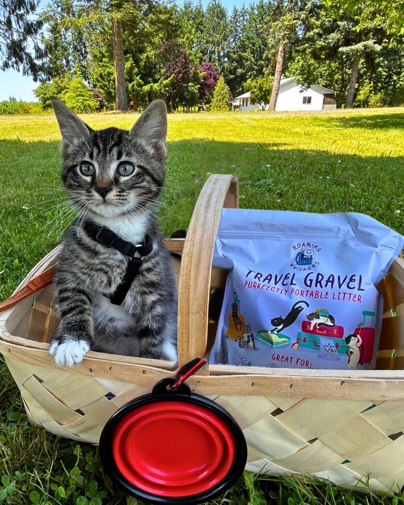 Op de afbeelding: Een tabby kitten met een zwart harnas zit in een gevlochten mand met een zak "Travel Gravel" kattenbakvulling. Een rood-zwarte opvouwbare kom ligt voor de mand. De sc&egrave;ne speelt zich buiten af op een grasveld.