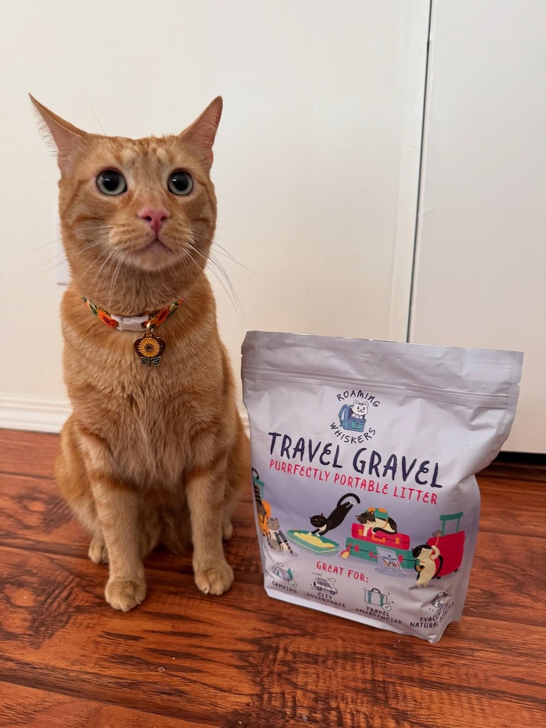 Op de afbeelding: Een oranje tabby kat met een zonnebloemhalsband zit naast een zak "Travel Gravel" kattenbakvulling. De zak heeft illustraties van katten en koffers, met de tekst "Purrfectly Portable Litter". De kat kijkt omhoog.