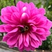 Inhaber von <a href='https://www.etsy.com/de/shop/CraftmasterGeneral?ref=l2-about-shopname&from_page=listing' class='wt-text-link'>CraftmasterGeneral</a>