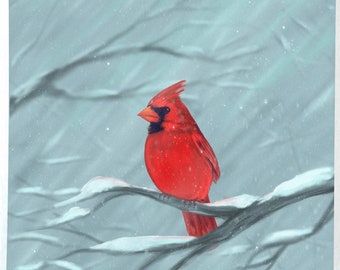 Cardinal in the Snow Art print by Rachael Caringella Tree Talker Art