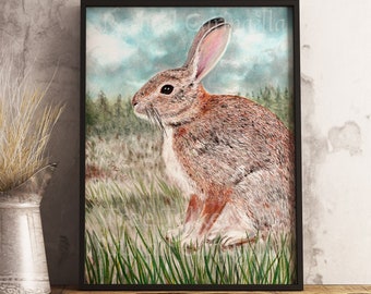 Cottontail Rabbit Art - Rabbit Illustration - Giclée Fine Art Print by Rachael Caringella - Tree Talker Art
