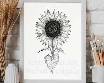 Sunflower Drawing Black and White- Giclee Fine Art Print - Pen and Ink Illustration - Sunflower illustration