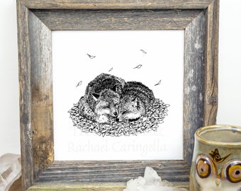 Snuggling Foxes Drawing Black and White- Giclee Fine Art Print - Pen and Ink Illustration - Sleeping Foxes illustration