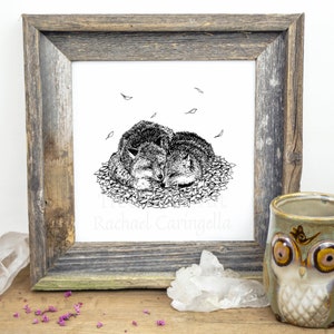 Snuggling Foxes Drawing Black and White- Giclee Fine Art Print - Pen and Ink Illustration - Sleeping Foxes illustration