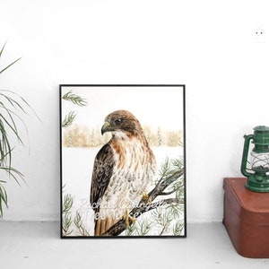 Red Tailed Hawk Hawk Art Realistic Hawk by Tree Talker Art Rachael Caringella image 1