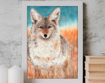 Coyote Art - Realistic Coyote Illustration - Giclée Fine Art Print by Rachael Caringella - Tree Talker Art
