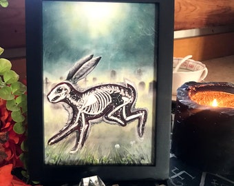 Lucky Rabbit's Foot Art - "Lucky Bones" Small Fine Art Print - 5x7 Skeleton Rabbit Art by Rachael Caringella - Tree Talker Art