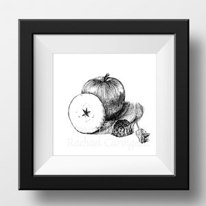 Apple Drawing - Black and White- Giclee Fine Art Print - Pen and Ink Illustration - Apple and leaves fall illustration