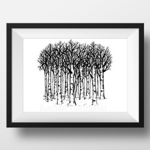 Aspen Forest Drawing Black and White- Giclee Fine Art Print - Pen and Ink Illustration - Spooky fall Aspens illustration