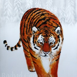 Stalking Tiger Print Small Tiger Print Tiger Art 4x6 Art Print mini art print rachael caringella image 2