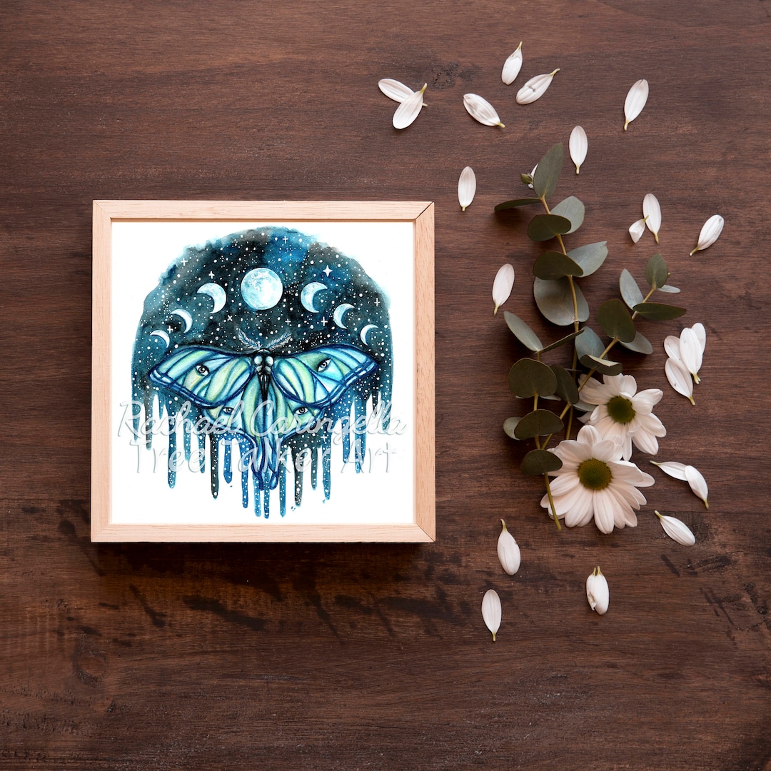 Luna Moth - Moon Phases Moth - Watercolor Painting by Rachael ...