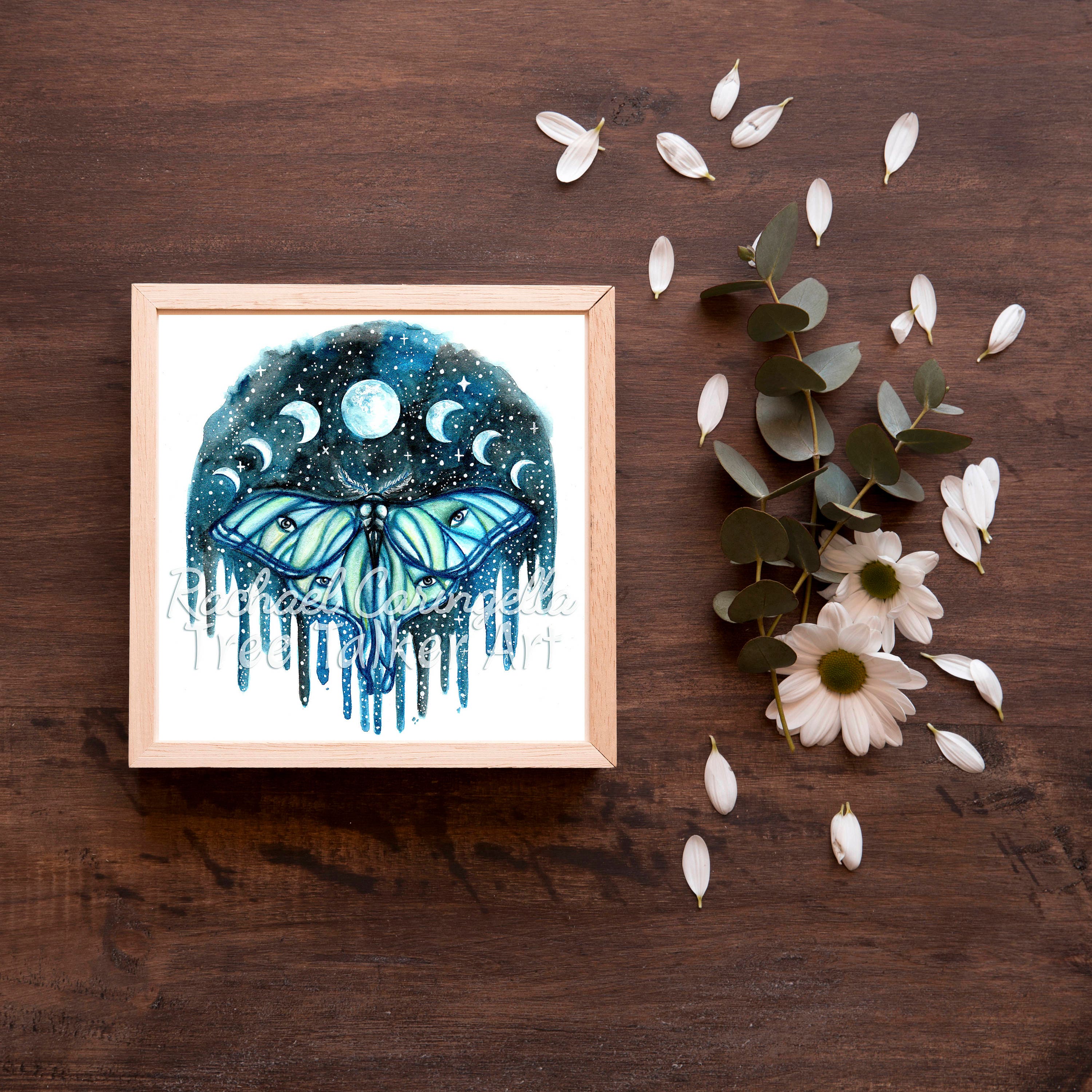 Luna Moth - Moon Phases Moth - Watercolor Painting by Rachael ...