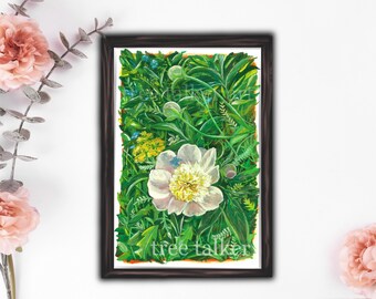 Peonies in the Garden Fine Art Giclee Print by Rachael Caringella Tree Talker Art