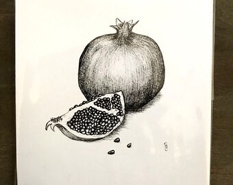 Pomegranate Original Illustration by Rachael Caringella Tree Talker Art Small pen and ink pomegranate drawing