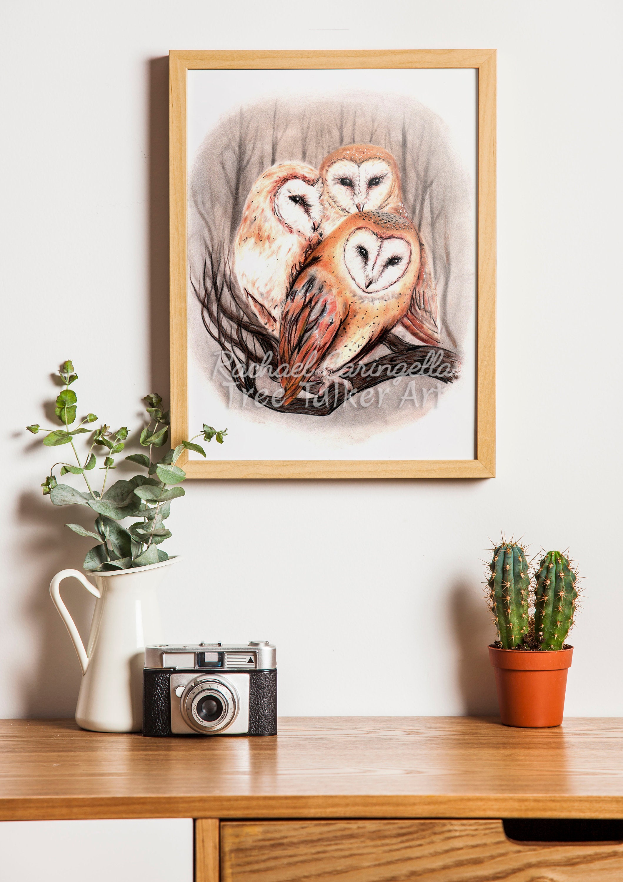 Barn Owls - Barn Owl Art - Realistic Owls - by Tree Talker Art - Rachael Caringella