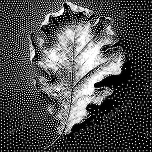 Oak Leaf Stipple Art Vector Image CNC Router Project / Laser Engraving File Download (svg, dxf & png files)