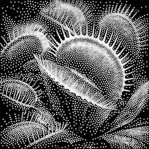Venus Flytrap Stipple Art Vector Image CNC Router Project / Laser Engraving File Download (svg, dxf & png files)