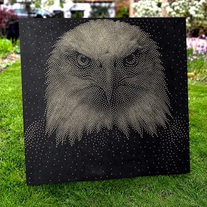 May include: A square black art panel featuring a portrait of a bald eagle created with numerous small, light-colored dots. The dots are densely arranged to form the eagle's head, eyes, and beak, contrasting sharply against the solid black background.